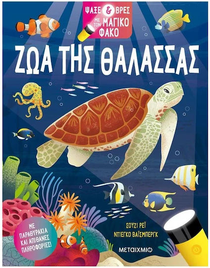 Search and Find with the Magic Torch, Animals of the Sea