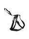 Flamingo Safety Harness Black 50-70cm