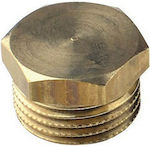 Male Brass Plug 1/4"