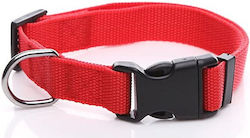 Natural Clip Monochrome Dog Collar