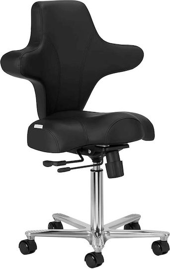 Salon Stools Scaun
