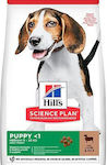 Hills Science Plan Puppy Medium Lamb & Rice Μεσαίο 14kgr