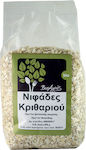 Βιο Αγρός Flakes Barley 500gr 1pcs