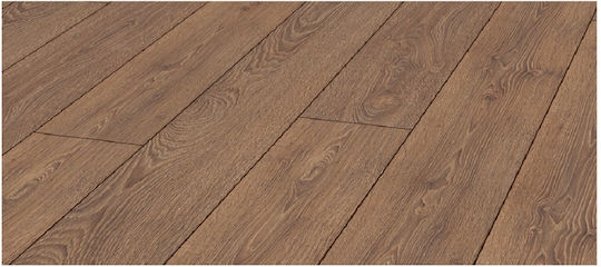 Laminate Floor Mammut Capital Oak Nature 12mm Ac5/33 D2999