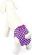 Camon Diaper Purple Polkadots 0