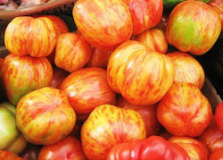 Tomato Tiger Tigerella 0.3g Seeds