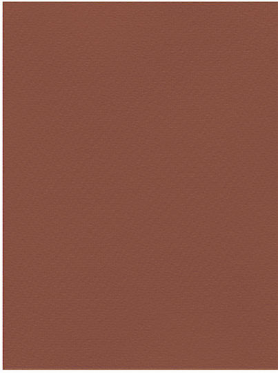 Favini Karton 50x70cm 220g Braun Schokolade Nr. 11