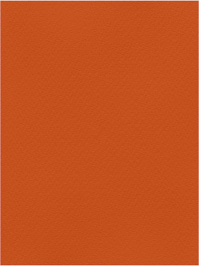 Favini Χαρτονι 70x100cm 220gr Πορτοκαλι Νο09