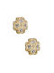 Kritsimis Earrings made of Gold 14K