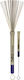 Balbex Brushes