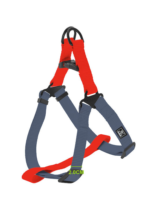 Nunbell Pet Обучително