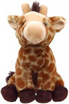 Wilberry Plüschgiraffe