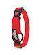 Nunbell Pet Dog Collar