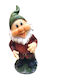 Clay Smiling Dwarf 15cm Green Hat