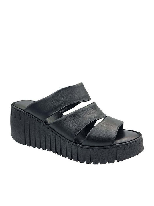 Pace Comfort