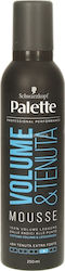 Palette Αφρός Μαλλιών Όγκος 250ml