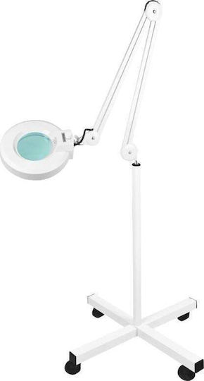 Activeshop Tabletop Magnifying Lense with Light 1pcs