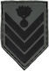 All About Army Semnal 008025