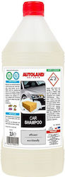 Autoland Aktivschaum Shampoo 1lt