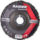 Raider Δίσκος Λείανσης Μετάλλου και Ξύλου 125mm