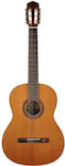 Salvador Classical Guitar 4/4