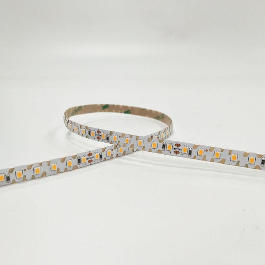 VK Lighting Ταινία LED 24V Φυσικό Λευκό Φως 5m