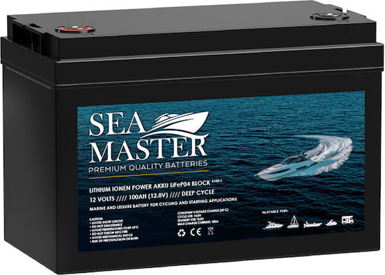 Sea Master Batterie Boot Sea Master SM31P-1000 mit Kapazität 110Ah
