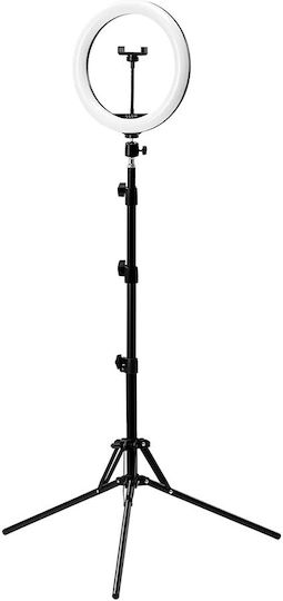 Activeshop Lamp Light RGB Ringlicht 25,4cm