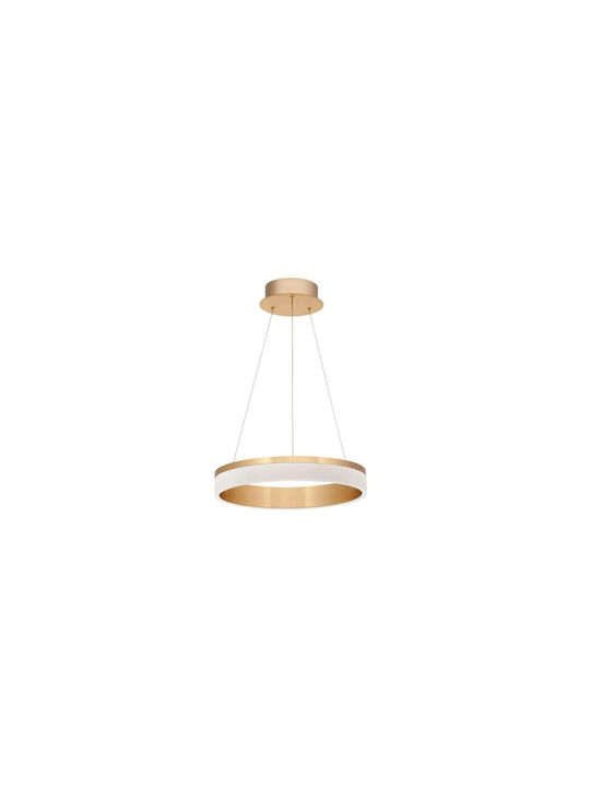 Nova Luce Pendant Light Bronze