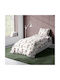 Dimcol Lion Παιδική Παπλωματοθήκη Μονή Βαμβακερή Beige 160x240εκ.