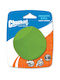 Dog Toy Chuckit Erratic Ball Large 7cm