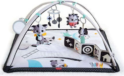 Tiny Love Baby Gym for Newborns Tiny Love Baby Gym for Newborns