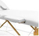 ICosmetics White Massage and Physiotherapy Acce...