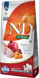 Farmina N&D Pumpkin Grain Free 12кг