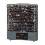 Gotze & Jensen Lebensmittel-Dehydrator mit Regalen