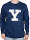 Sweatshirt Blue