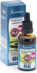 Plameca Εχινάκεια 50ml Plameca Εχινάκεια 50ml