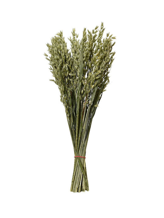 Kaemingk Dried Plant Green 55cm 1pcs