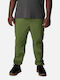 Trousers Cargo Elastic Canteen