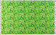 Bluepoint Beach Towel Cotton Green 95x155cm.