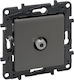 Legrand Niloe TV-Buchse Terminal in Gray Farbe ...