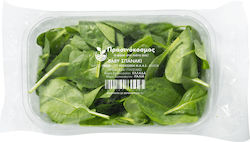Πρασινόκοσμος Σπανάκι Baby 100gr