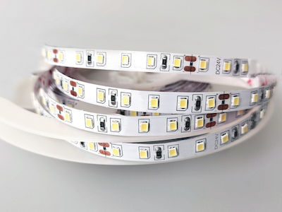 VK Lighting Vk 24 Bandă LED Alimentare 24V cu Lumină Albastru SMD3528