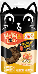 Lucky Lou Lucky Ones Krunchy Krisps Chicken 60g 60g Lucky Lou Lucky Ones Krunchy Krisps Chicken 60g 60g