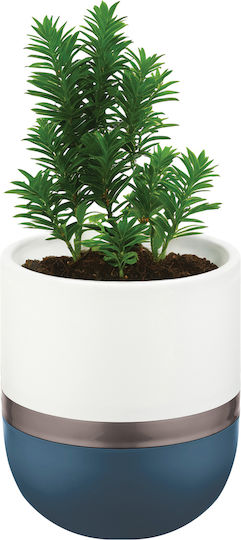 Viosarp Ribbon Oval 4l Plastic Planter