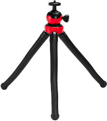 Caruba Tripod - Mini 8718485016929