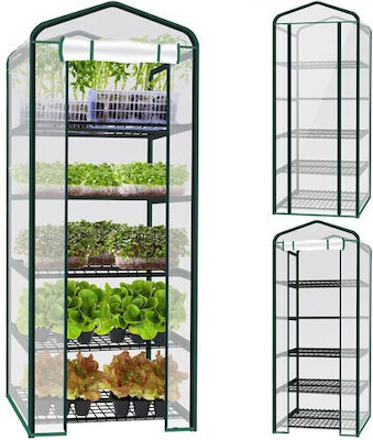 Greenhouse with Shelves