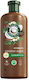 Herbal Essences Coconut Σαμπουάν Ενυδάτωσης για Ξηρά Μαλλιά Μαλλιά 350ml