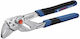 Bosch Γκαζοτανάλια 250mm