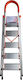 Veritas Ladder Aluminum with 4+1 Steps